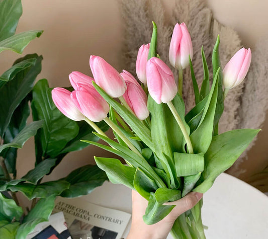 5 Best Symbolic Flowers to gift on International Women’s Day